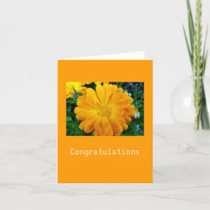 yellow gerbera daisy flower card