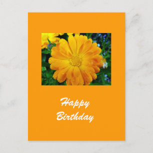 yellow gerbera daisy flower postcard