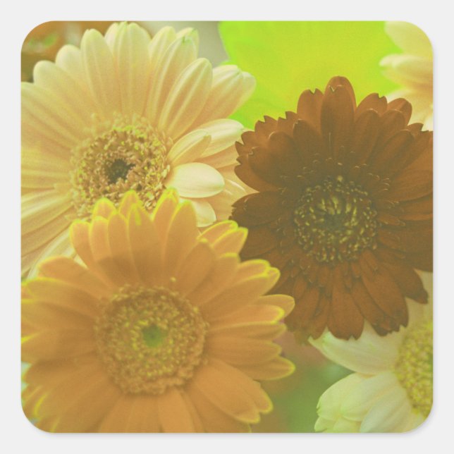 Yellow Gerbera Daisy Flowers Art Sticker Decals (Front)