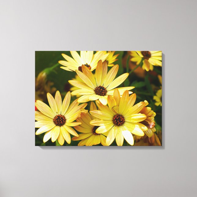 Yellow Gerbera Daisy Flowers Canvas Art (Front)