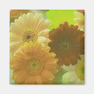 Yellow Gerbera Daisy Flowers Refrigerator Magnets