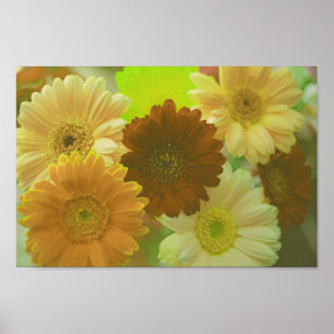 Yellow Gerbera Daisy Flowers Wall Art Print Poster