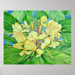 Yellow Ginger Watercolor Poster