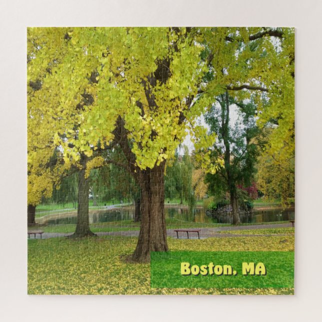 Yellow Gingko Tree - Boston Public Garden Jigsaw Puzzle (Vertical)