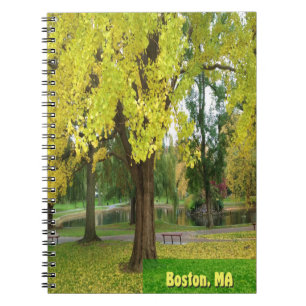 Yellow Gingko Tree - Boston Public Garden Notebook
