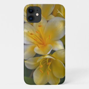 Yellow Gold Lily Flowers Floral Phone Case