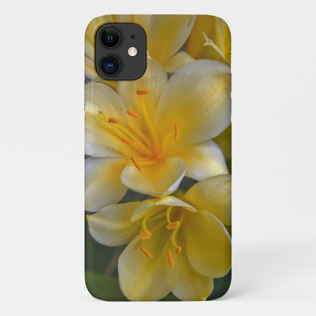 Yellow Gold Lily Flowers Floral Phone Case (Back)