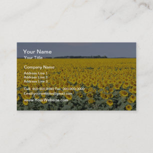 yellow Golden field of sunflowers, Manitoba flower Business Card