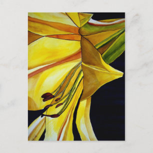Yellow Golden Splendour lily original art Postcard