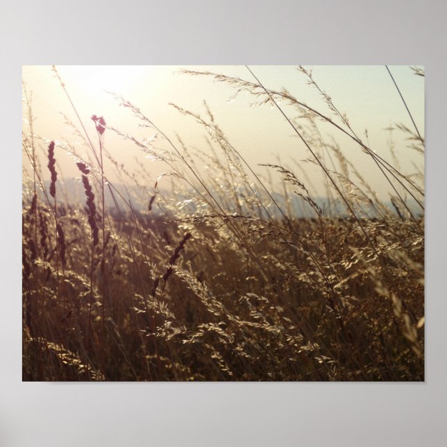 Yellow Grass fields Nature  Poster Paper (Matte) (Front)