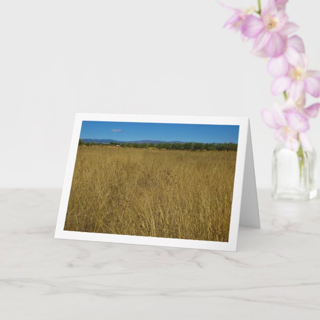 Yellow Grass Landscape Card (Orchid)