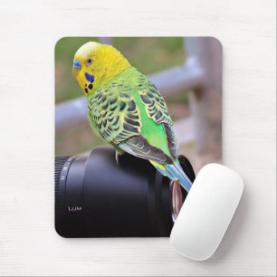 Yellow, Green and Blue Exotic Bird on Camera Lens Mouse Mat