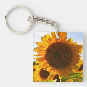 Yellow Hardy Sunflower Art Best Sunflower Photos Key Ring