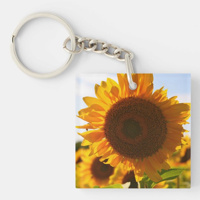 Yellow Hardy Sunflower Art Best Sunflower Photos Key Ring (Front)