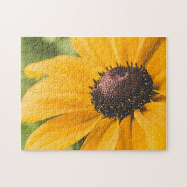 Yellow Hardy Sunflower Best Sunflower Photos Jigsaw Puzzle (Horizontal)