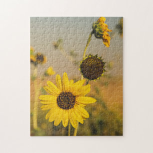 Yellow Hardy Sunflower Best Sunflower Photos Jigsaw Puzzle