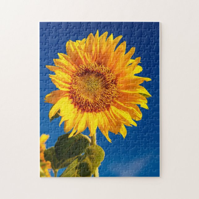 Yellow Hardy Sunflower Best Sunflower Photos Jigsaw Puzzle (Vertical)