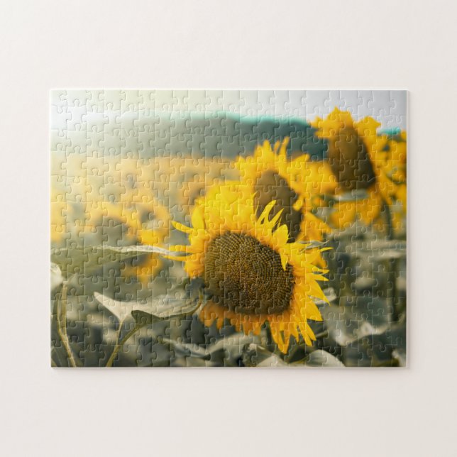 Yellow Hardy Sunflower Best Sunflower Photos Jigsaw Puzzle (Horizontal)