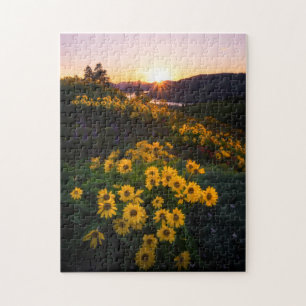 Yellow Hardy Sunflower Best Sunflower Photos Jigsaw Puzzle