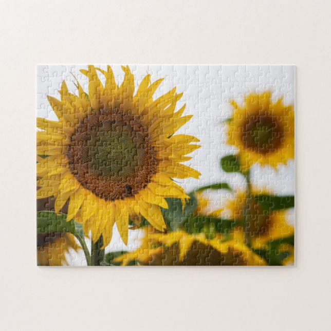Yellow Hardy Sunflower Best Sunflower Photos Jigsaw Puzzle (Horizontal)