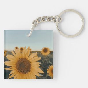 Yellow Hardy Sunflower Best Sunflower Photos Key Ring
