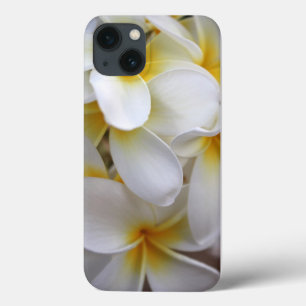 Yellow Hawaii Plumerias iPhone 13 Case