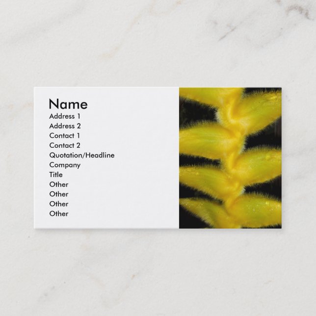 Yellow Hawaiian Heliconia Business Card (Front)
