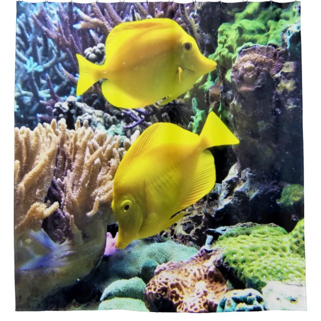 Yellow Hawaiian Tang Fish Shower Curtain (Front)