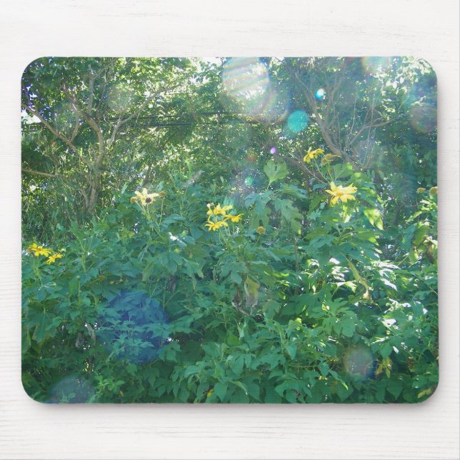 Yellow Hawaiian Wildflowers from Kauai Hawaii Mouse Mat (Front)