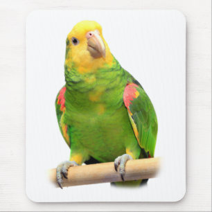 Yellow-headed amazon mouse mat