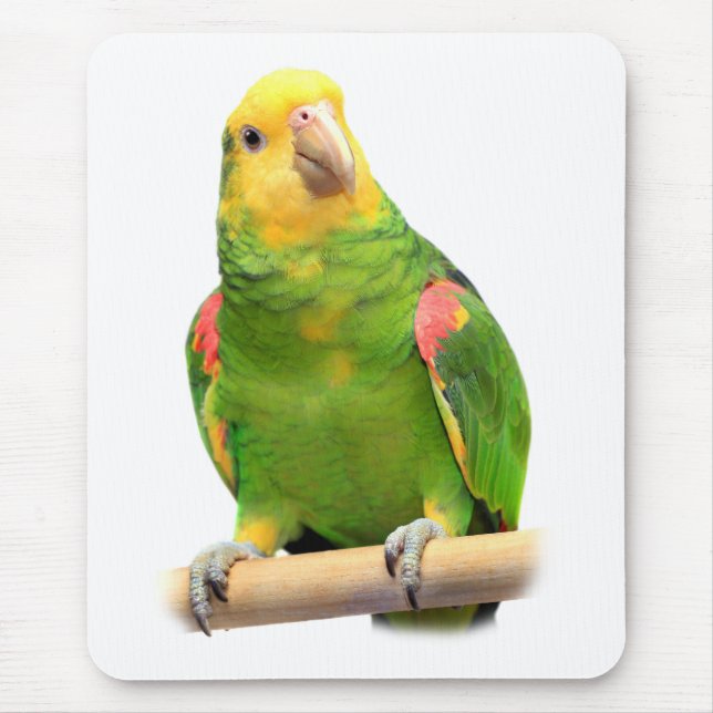Yellow-headed amazon mouse mat (Front)