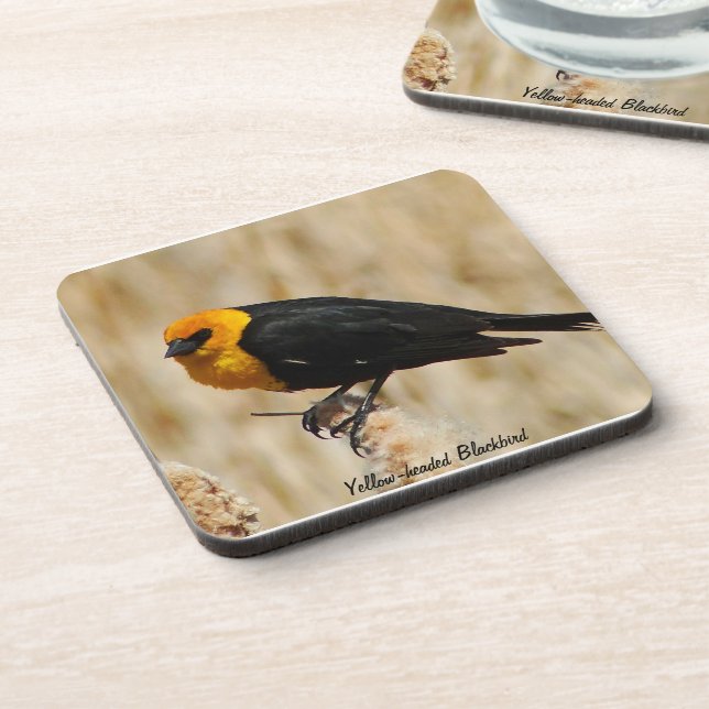 Yellow-headed Blackbird Coaster (Left Side)