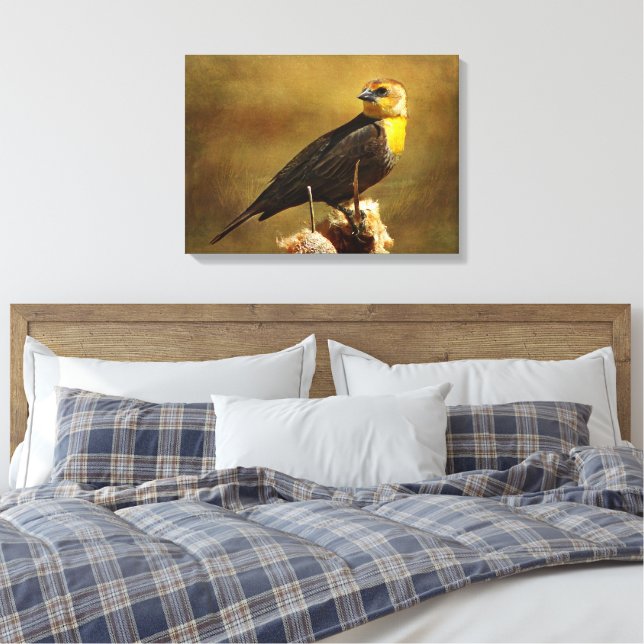 Yellow-headed Blackbird Stretched Canvas Print (Insitu(Bedroom))