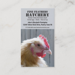 Yellow Heritage Buff Orpington Chicken Business Card