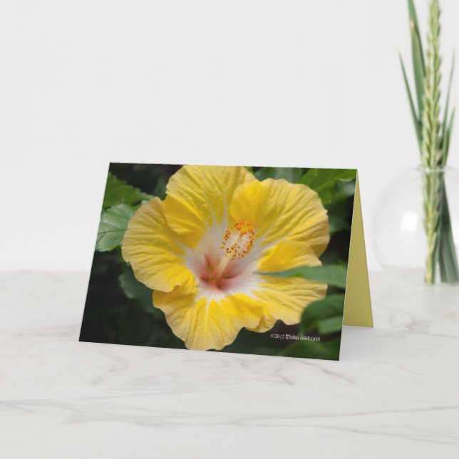 Yellow Hibiscus Bloom Card (Front)