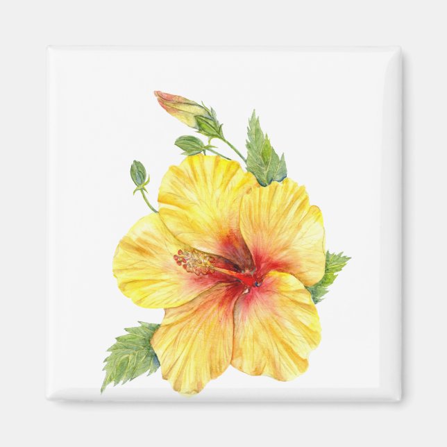 Yellow Hibiscus Botanical Art Magnet (Front)
