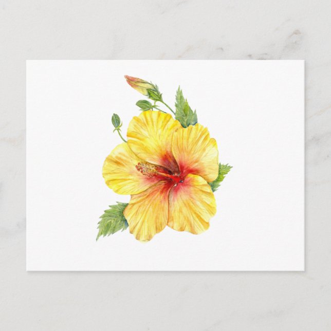 Yellow Hibiscus Botanical Art Postcard (Front)