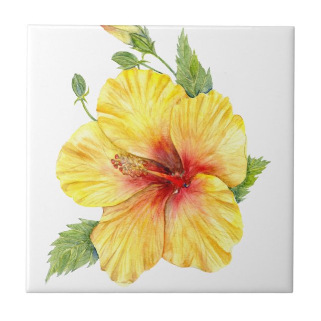 Yellow Hibiscus Botanical Art Tile (Front)