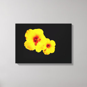 Yellow Hibiscus Canvas Print