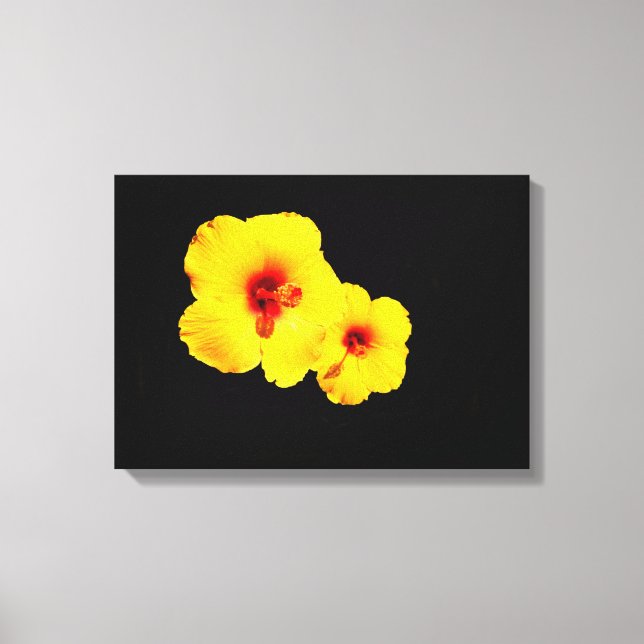 Yellow Hibiscus Canvas Print (Front)