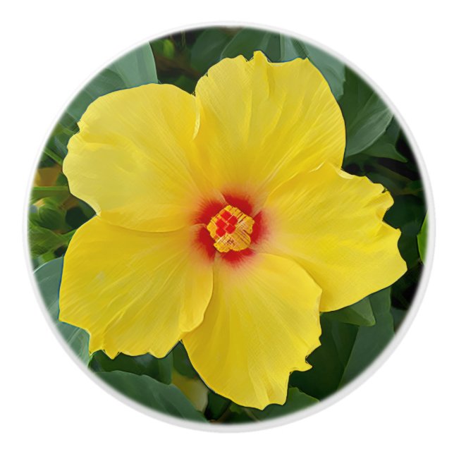 Yellow Hibiscus Ceramic Knob (Front)
