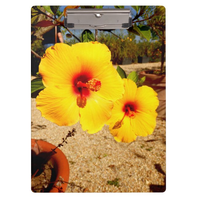 Yellow Hibiscus Clipboard (Front)