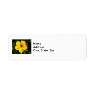 Yellow Hibiscus Flower
