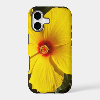 Yellow Hibiscus Flower