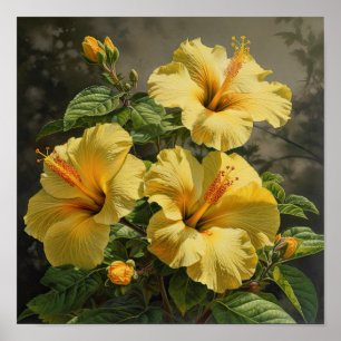 Yellow Hibiscus Flower Art Print Poster
