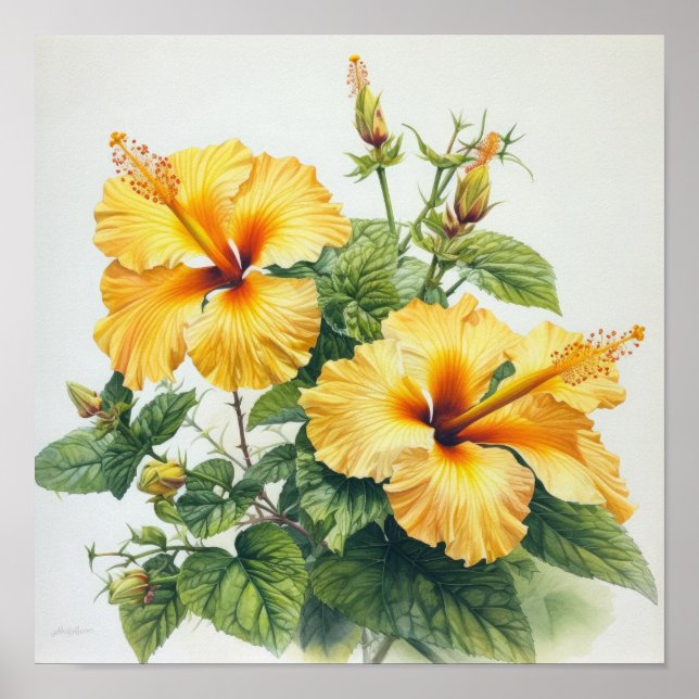 Yellow Hibiscus Flower Art Print Poster (Front)