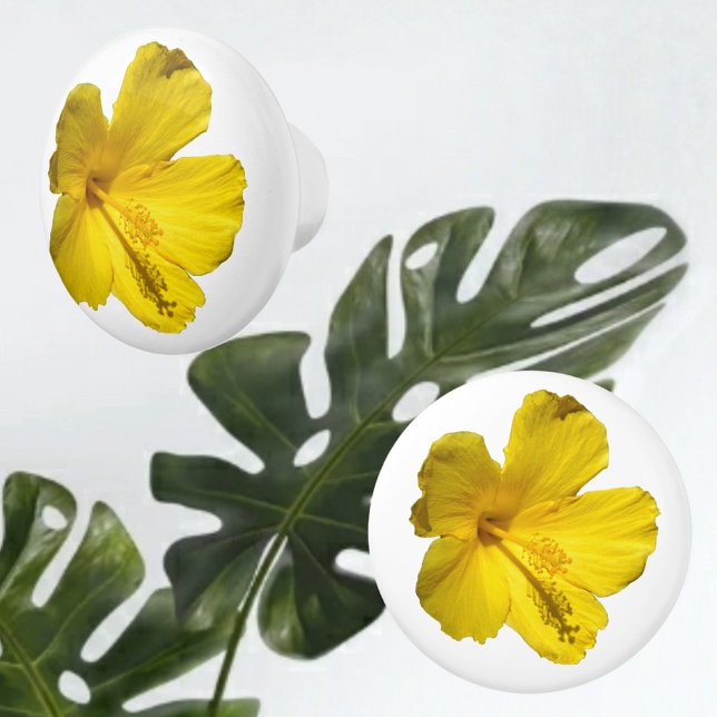 Yellow Hibiscus Flower Botanical Photographic Ceramic Knob (Creator Uploaded)