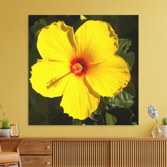 Yellow Hibiscus Flower Canvas Print (Insitu(LivingRoom))