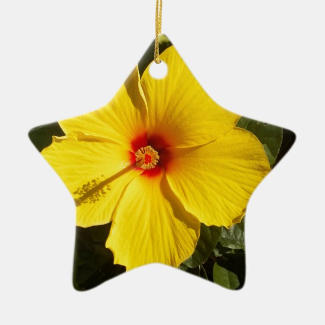 Yellow Hibiscus Flower Ceramic Tree Decoration (Front)