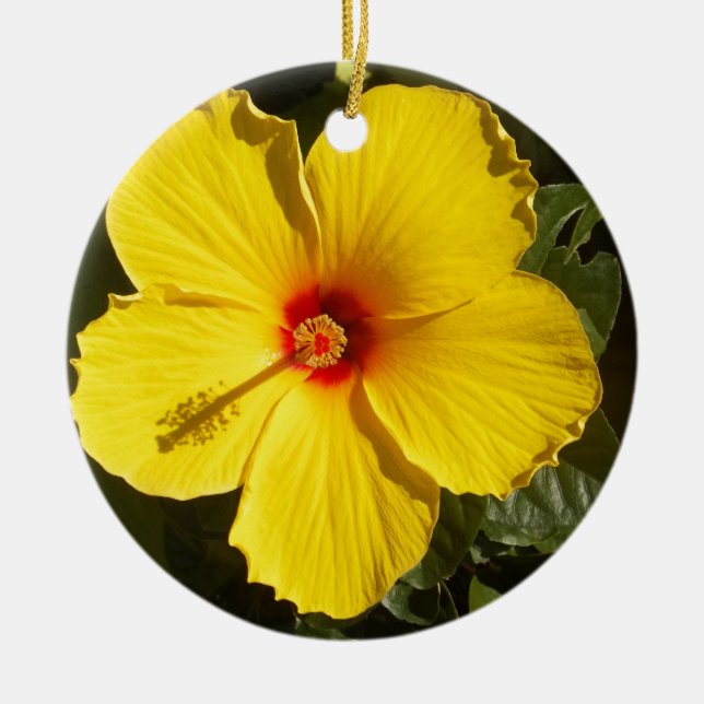 Yellow Hibiscus Flower Ceramic Tree Decoration (Front)